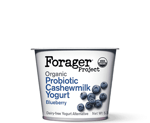 Blueberry Cashewmilk Yogurt