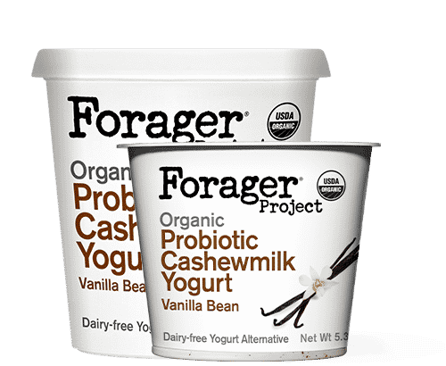 Dairy Free Vanilla Bean Cashewmilk Yogurt