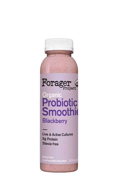 Blackberry Probiotic Smoothie