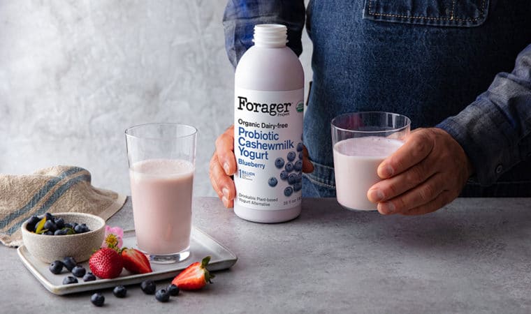Organic Probiotics from Cashewmilk Yogurt – Why it’s Different