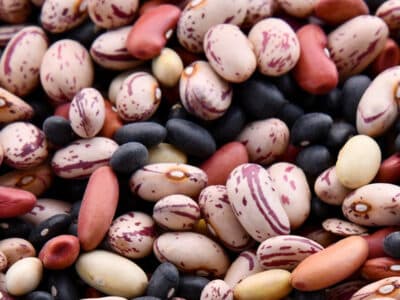 The Best Sources of Plant-based Protein