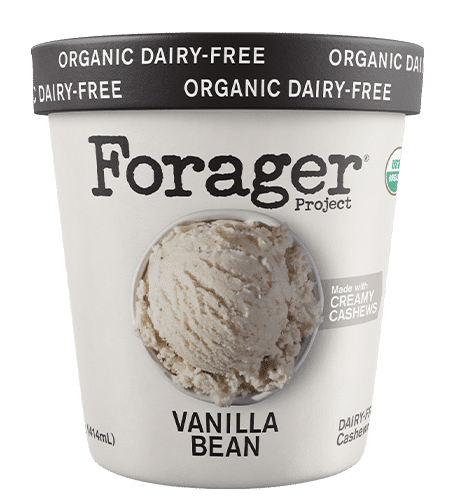 vegan vanilla ice cream recipes