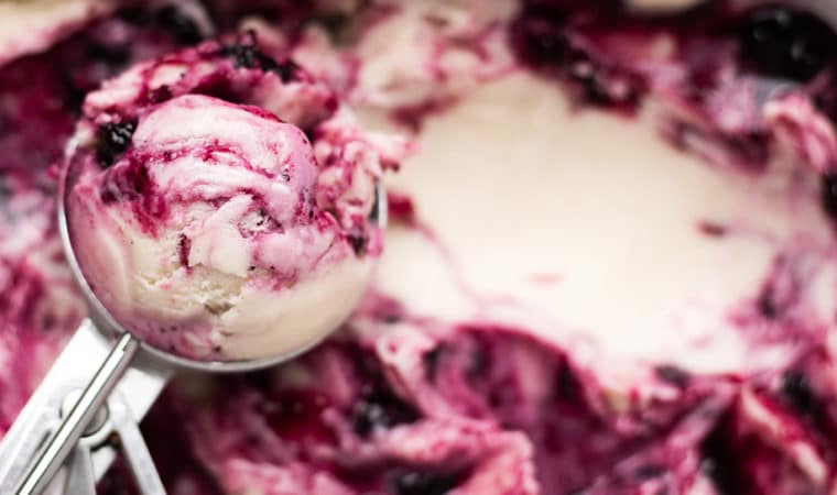 Vanilla Blueberry Frozen Yogurt