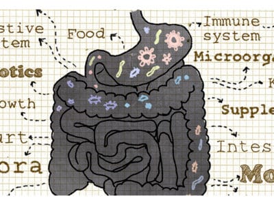 Probiotics, Gut Health, and Autism: What’s the Connection?