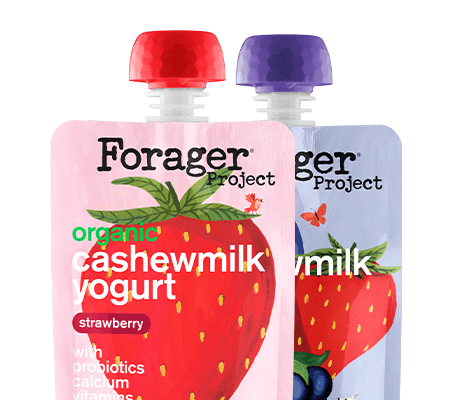 kids cashewmilk yogurt pouches