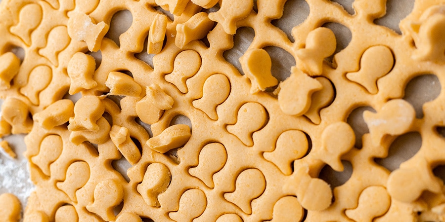 Close up of goldfish crackers coming ourt of mold.