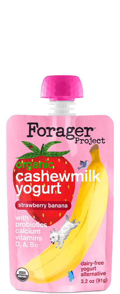 strawberry banana kids yogurt pouch