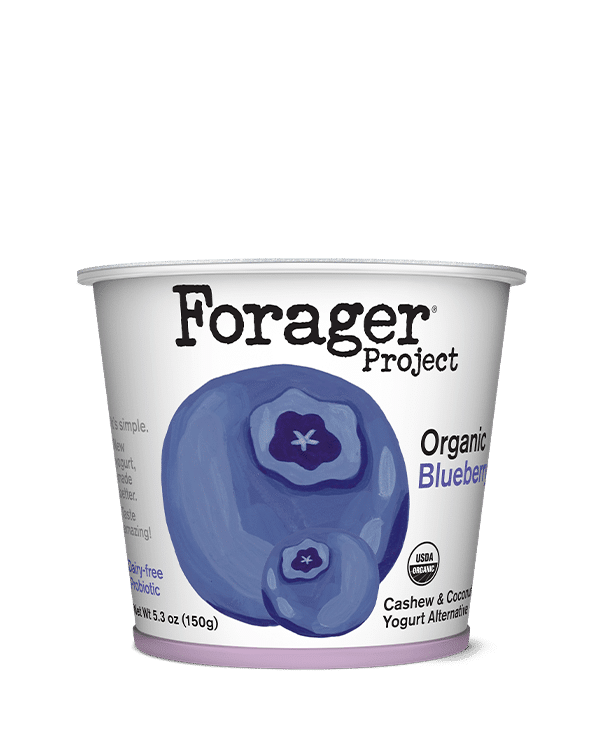 Blueberry Cashewmilk Yogurt