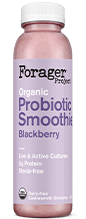 Blackberry Probiotic Smoothie